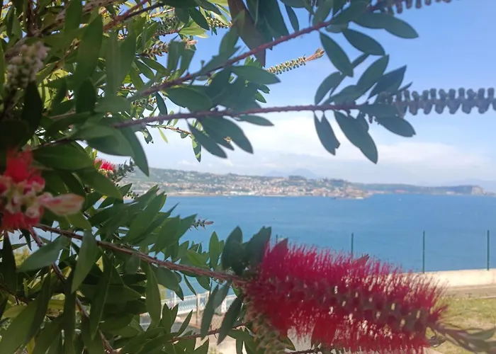 Alojamento de Acomodação e Pequeno-almoço Relais Tiare